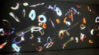 Spin (2010) by Daniel Canogar