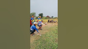 Lomba Jagungan Merpati Balap
