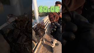 Magnet Fishing Construction Scrap #magnetfishing #strongmagnet #hiddenfinds #magnetfishingfinds