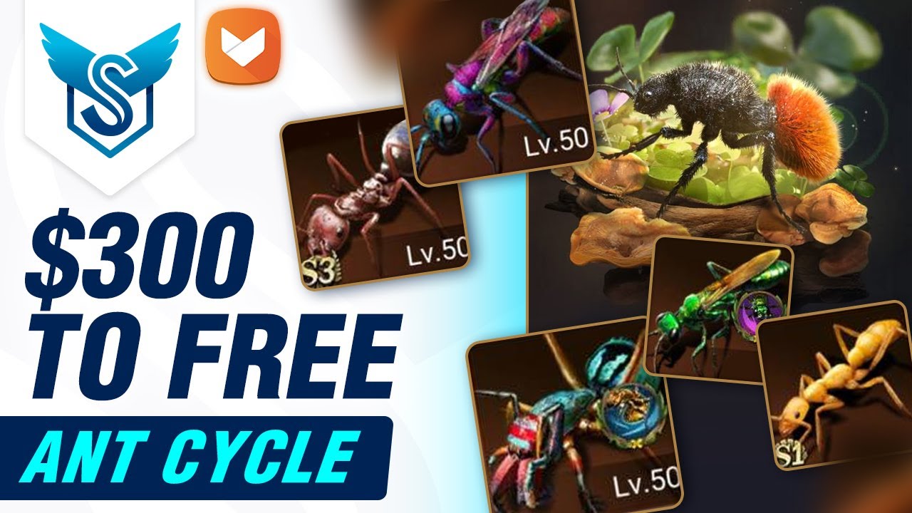 Ant Cycle Guide: $300 to Free & When to Buy – The Ants