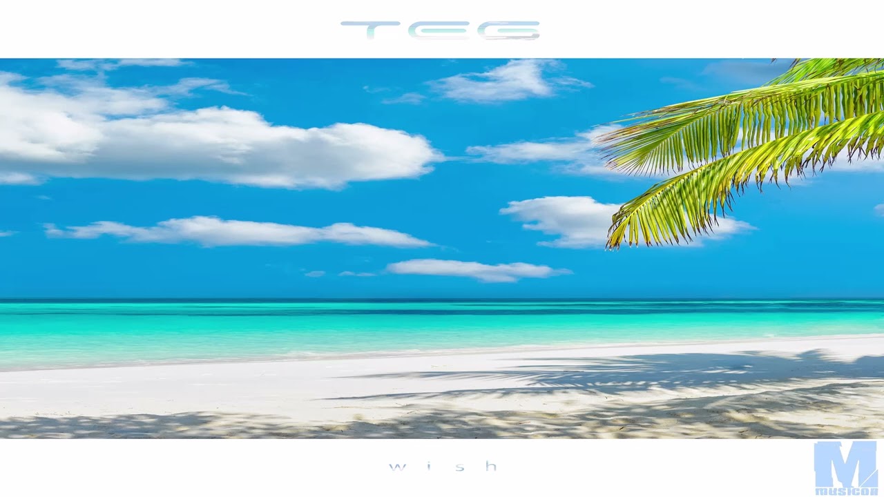 Watch TEG - Wish (Original Mix) on YouTube Watch TEG - Wish (Original Mix) on YouTube