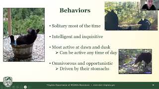 Bear 101: How to Have a Bear Safe Community