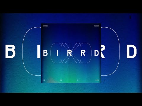 Birrd - No Time To Shine (Feat. Anna)