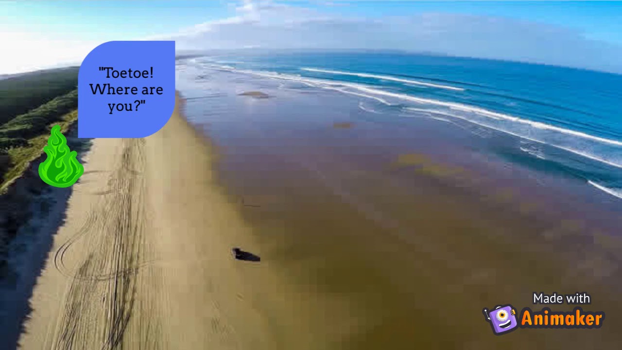 Pūrākau - Pīngao and Toetoe