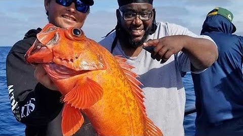 Amazing Big Catch on The Sea - Catching and Processing Hundreds Tons of Fish With Modern Big Boat