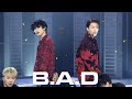 SUPER JUNIOR D&amp;E - B.A.D [SBS Inkigayo Ep 1065]