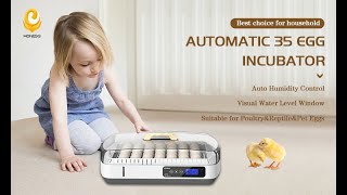 2022 New Listed Digital 35 Egg Incubator