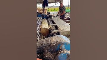 Tree straightness polishing process- Good tools and machinery make work easy video 🌳
