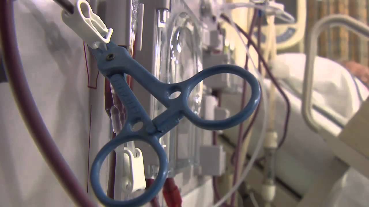 Diabetes Prevention | Children's Health Update | NPT Reports