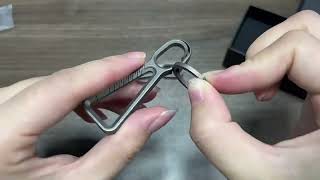 Famous Double-End Quick Release Titanium Carabiner Keychain Wealth