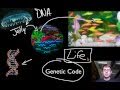 Essential Characteristics of Life and Their Conservation