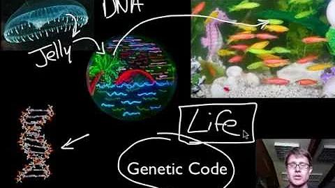 Essential Characteristics of Life