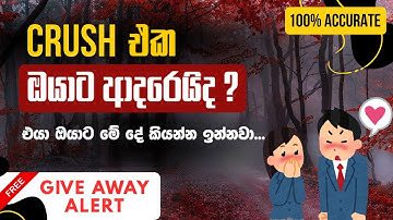 What Your Crush Wants to Tell You 😳💗 (The Truth Will Shock You!) 🔥