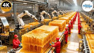 How Billions of Bees Produce Tons of Honey - Inside Mega Factory | Full Process