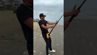 Using a Whole Fish to catch Beach Monsters! #dronefishing #swellpro #catchandrelease #bigbaitbigfish