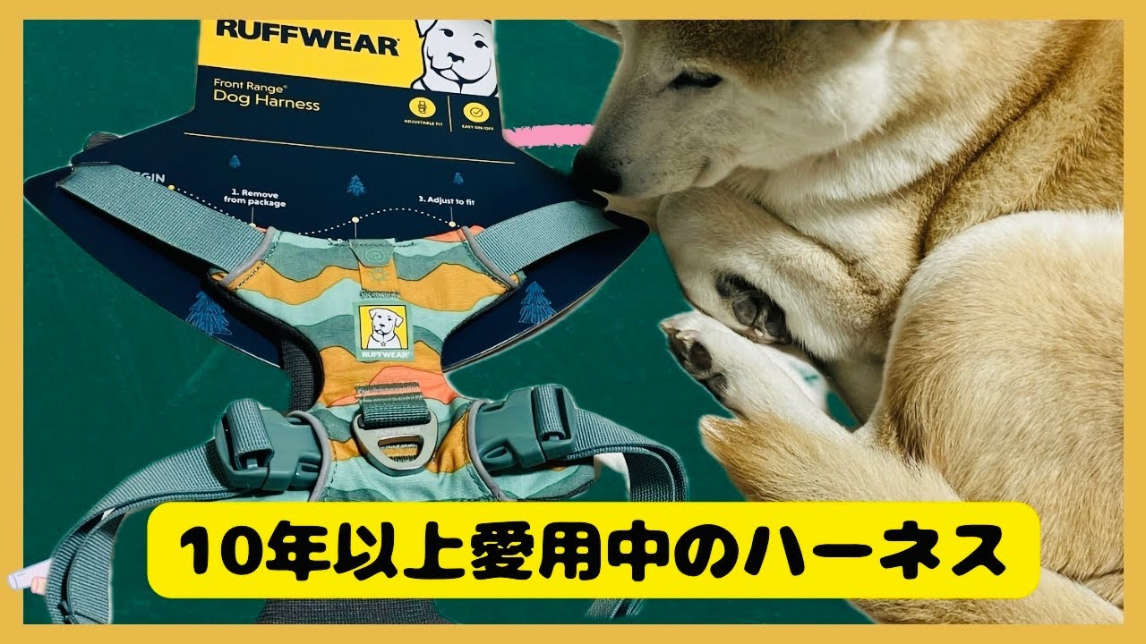 【ラフウェア】10年以上愛用しているハーネス【フロントレンジハーネスとウェブマスターハーネス】