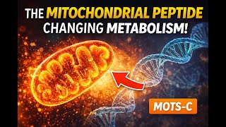 MOTS-C: The Mitochondrial Peptide That Improves Metabolic Flexibility and Performance