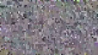 FAXIO_VID55-631115S1365923W_20261001_075546346-FF77-D69D#5004b5b8.mp4