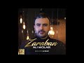 Ali molaei  zaraban official audio