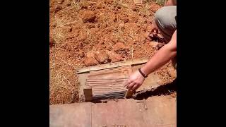 Astor Na Vestackom Rovu I Vestackoj Liji