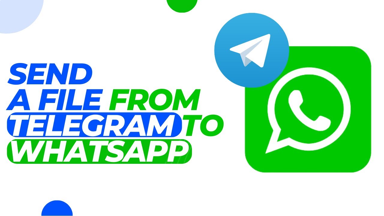 How To Send A File From Telegram To Whatsapp In IPhone Send Telegram How To Send A File From Telegram To Whatsapp In IPhone Send Telegram