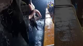#낚시대 #fishing #바다 #낚시