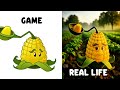 PLANTS VS ZOMBIE IN REAL LIFE