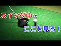 ゴルフスイング中はボールのどこを見て打つ?