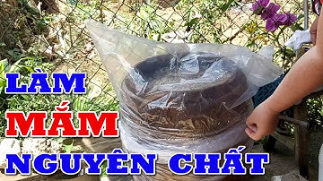 cách làm nước mắm nguyên chất tại nhà