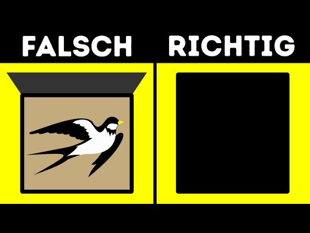 Was Du Tun Kannst Wenn Du Einen Verletzten Vogel Findest Youtube
