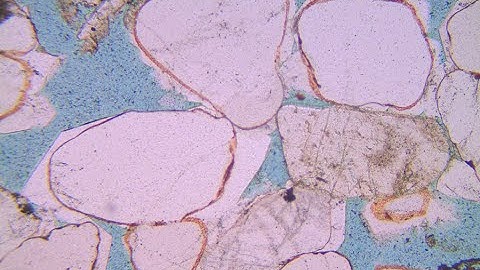 Thin section 1