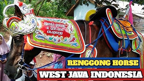 Kuda renggong 2019 di Pamulihan full video