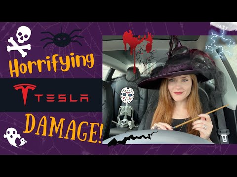 My TESLA'S Scary Stories! (Damage The 1st Year) BLOOPERS INCLUDED!