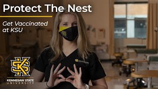 Protect the Nest, Owls