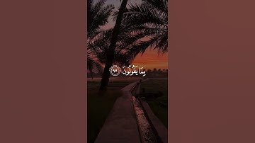 ولقد نعلم انك يضيق صدرك/ القارئ عبدالرحمن مسعد #قرآن