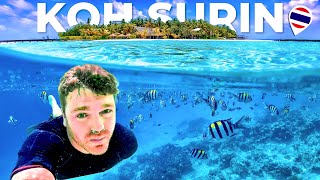 Trip To PARADISE ISLANDS ?? Snorkeling in KO SURIN National Park