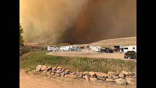 Ep. 79: Horse Emergency Preparedness: Evacuation Planning Before Disaster Strikes