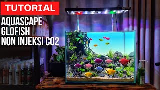 TUTORIAL Membuat Aquascape glofish,Non injeksi co2