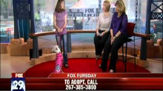 Pet Valu on Fox Fursday