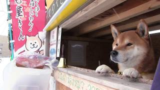 札幌　「犬のために犬が働く」焼き芋屋さん