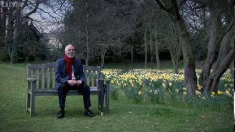 Tails You Win: The Science of Chance