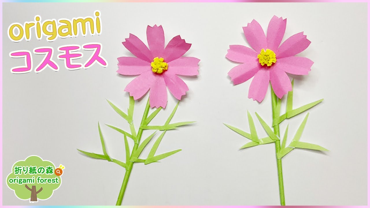 折り紙秋】折り紙コスモス 折り紙で秋の花を作りました origami cosmos