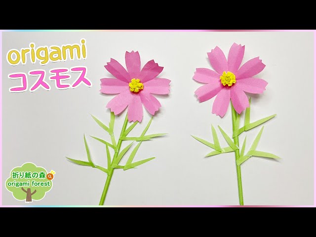 【売却済】折り紙　鉢植えコスモス×6＆葉付きコスモス×6　秋　壁面 折り紙秋】折り紙コスモス 折り紙で秋の花を作りました origami cosmos