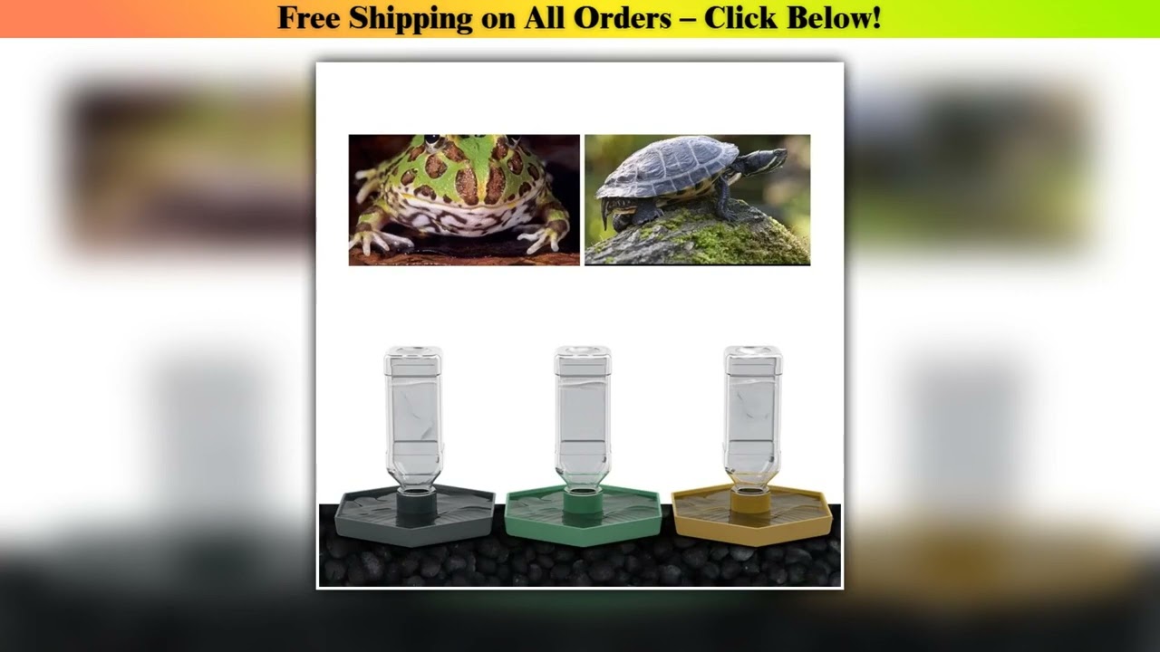 Reptiles Water Feeder Bowl Food Feeder Water Bottle For Reptiles Pet Antislip Automatic Water