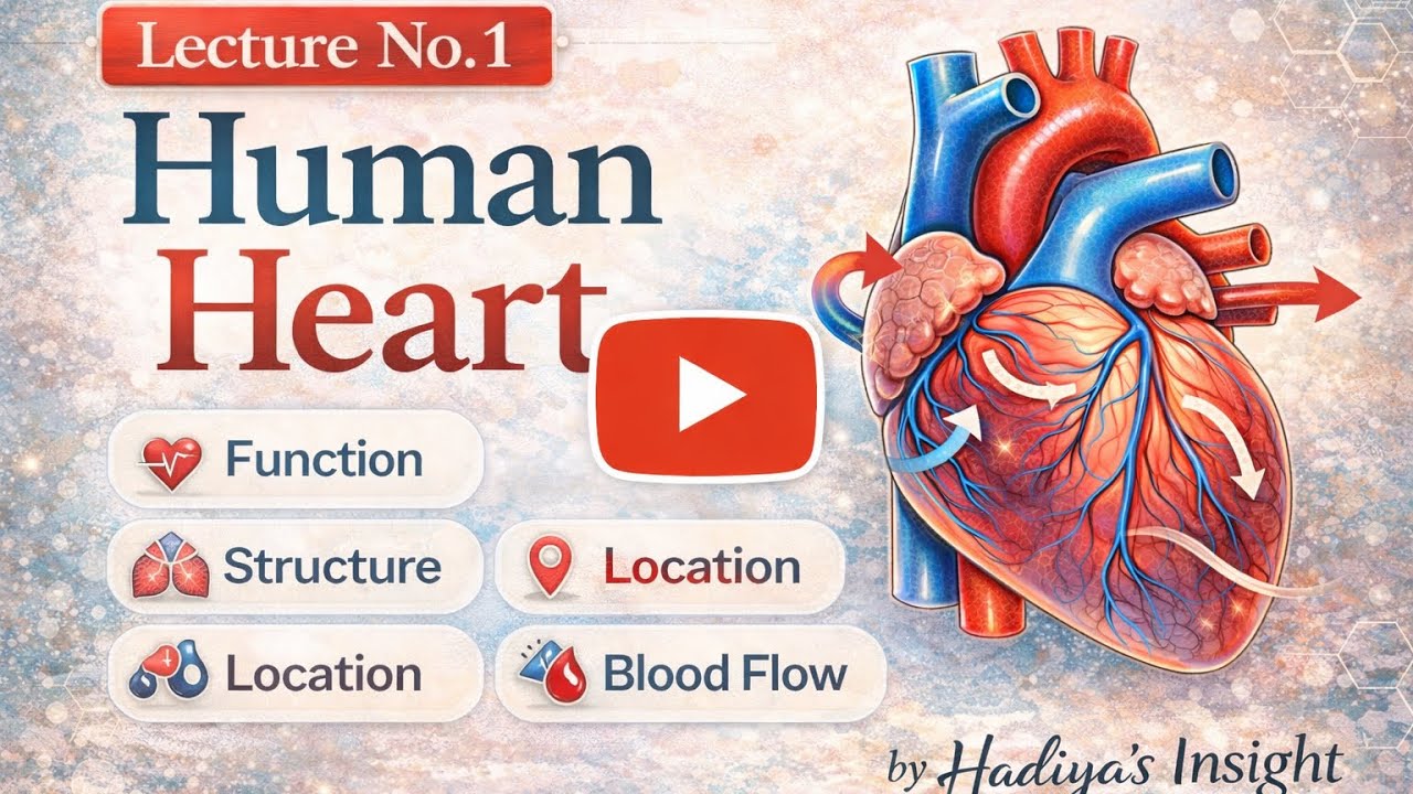 Human Heart – Complete Basics | Structure & Blood Flow | lecture 1