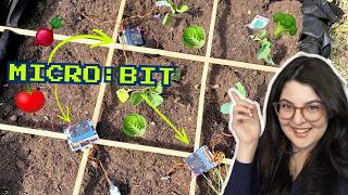I added electronics to my garden to help me keep plants alive (DIY robotics)