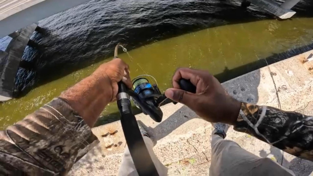 ⚠️ Worst Fishing Rod🎣in The World 🌎| Massive Tarpon Escapes