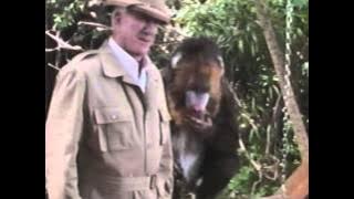 Opening To GUS 1998 VHS