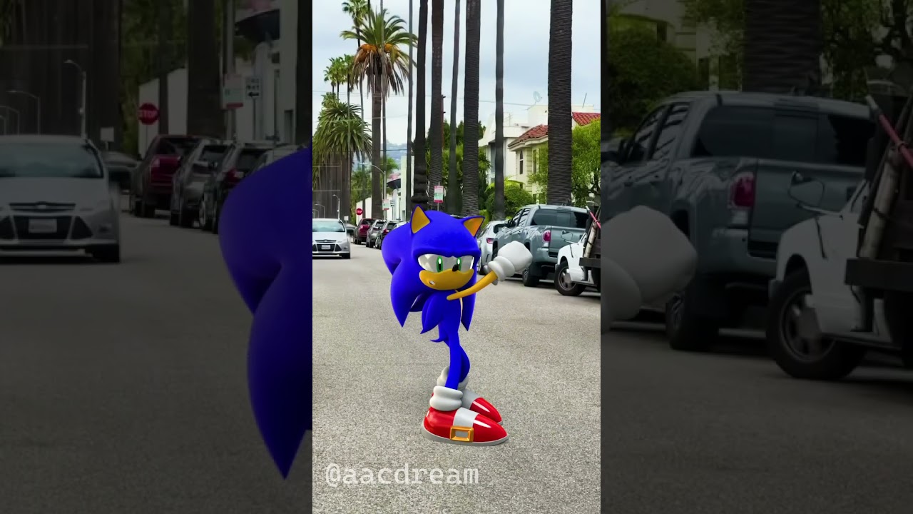 EVERYDAY SONIC LIFE ANIMATION 2 