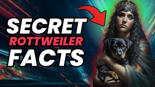 Famous 15 Things You Should Know About Rottweiler Net Worth